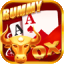 rummy ares 51 bonus download old version